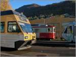 Erfreulich viele verschiedene  Gesichter  gibt es in Blonay zu sehen.