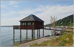 Badevergnügen am Bodensee in Bregenz und in der Ferne ein Thurbo GTW RABe 526 als S7 auf der Fahrt von Romanshorn nach Lindau Reutin.