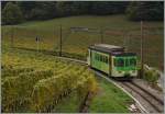 Und weiter geht die Fahrt, erst noch durch die Weinberge oberhalb von Aigle, dann durch Wälder und durchs felsige Tal nach Les Diablerets: Der ASD BDe 4/4 402 als Regionalzug 428 am 14.