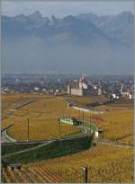 In weiten Kurven gewinnt die ASD Strecke in den Weinbergen bei Aigle an Höhe, bzw.