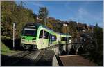 Der AOMC TPC GTW Beh 2/6 544 auf der Pont de Chemex.