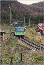 In den Weinbergen von Aigle ist der TPC Beh 4/8 591 als R71 431 auf der Fahrt von Les Diablerets nach Aigle.