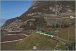 Drei Bilder vom Regionalzug R 71 435 von Les Diablerets nach Aigle mit dem schiebenden TPC ASD BDe 4/4 402 und dem Bt 434, der auf dem in weiten Schleifen oberhalb von Aigle durch die Weinberge