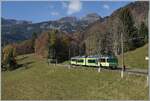 Der TPC Beh 4/8 591 ist kurz vor Les Planches auf dem Weg nach Les Diablerets.  

 6. November 2024