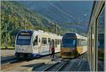 Ein TPF SURF trägt, wie dieses aus dem Zug Bild von Monbovon zeigt, bereits eine Werbelakierung.