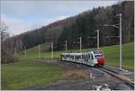 Ein TPF SUR als Regionalzug auf dem Weg nach Bulle kurz nach Remaufens, wo bei der Sanierung der Strecke diese leicht begradigt wurde.