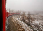Bei Nebel.....