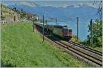 SBB Re 620 060-4 mit einem G�terzug bei Rivaz.