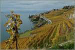 Ein Blick von einer Anh�he bei St-Saphorin gegen Rivaz.