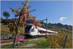 Ein Flirt im herbstlichen Lavaux.
