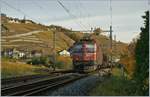 Die Ae 6/6 11419 (Appenzell IR) erreicht mit einem Güterzug Lutry.