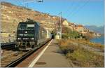 Die RTS 185 569-1 f�hrt mit ihrem Rexwal G�terzug durch Rivaz.