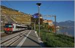 Eine Doppel-Domino Komposition fährt als RE 3567, von Lausanne nach St-Maurice unterwegs, in Rivaz durch.