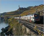 Der SBB RABe 511 111 und ein weiteres auf der Fahrt nach Vevey zwischen Rivaz und St-Saphorin.