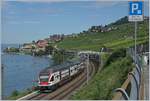 Kurz nach St-Saphorin zeigt sich der SBB RABe 511 112 und ein weiterer auf dem Weg nach Annemasse.