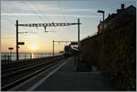 Abendstimmung am Genfersee / ein SBB Flirt RABe 523 erreicht St-Saphorin.