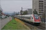Nur 10 Minuten am Bahndamm gestanden...