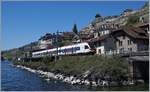 Ein RABe 523 (FLIRT) nach Villeneuve bei St-Saphorin.