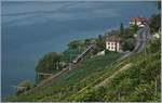 Ein Blick vom Wanderweg Cully-Rivaz auf die Strecke am See zeigt kurz vor Epesses einen Flirt auf der Fahrt Richtung Lausanne.