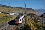 Der Flirt RABe 523 019 als S2 nach Vallorbe.