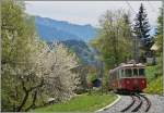 Steil bergab geht es f�r den BDeh 2/4 73 der heute f�r den Sch�lerzug Lally - Blonay eingeteilt ist.