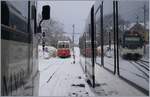 Winter in Blonay, zwar nicht spiegelglatt, aber die  SURF -Züge eigenen sich perfekt als Spiegel...