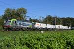 2025-10-07.BLS-RailCare.Vufflens-la-Ville  Locomotive électrique siemens Vectron   Re 475 430 louer à RailCare 
