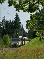 Der Rochers de Naye Beh 4/8 305 kommt erreicht als Regionalzug 3360 in K�rze die Haltestelle Cr�t-y-Bau.