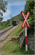 Ein kleine SPB He 2/2 scheibt ihren Zug oberhalb von Wilderswil bergw�rts.