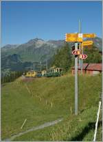 Neben vielen Wanderwegen gibt es in der Jungfrauregion auch zahleiche Z�ge zu entdecken.
