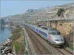 Ein TGV der ersten Generation auf dem Weg Richtung Brig kurz nach St-Saphorin.
