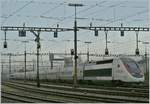 Freie Fahrt zeigt das (Gruppen) - Ausfahrsignal im Rangierbahnhof von Biel/Bienne, nicht jedoch für den TGV, der wird erst später und in der Gegenrichtung nach Bern fahren.