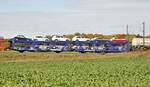Autotransporter aus Spanien von Transfesa 24 71 437 0 115-6 RIV E-TRANSFESA bei Hinterdenkental am 17.10.2012.