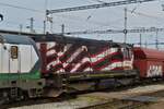 Diesellok CZ-TLSSK 92 54 2742 167-0 eingereiht in einem G�terzug hinter der Lok, aufgenommen bei der Durchfahrt des Bahnhofs Bratislava.